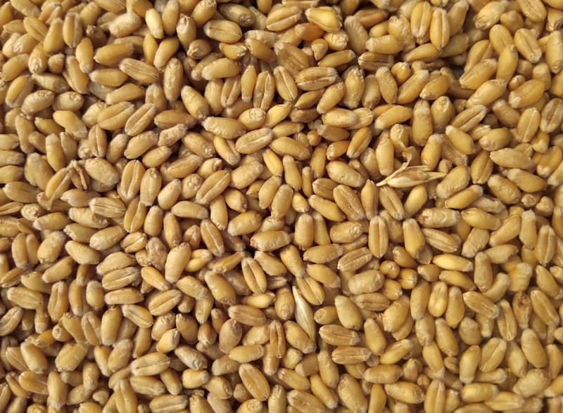 Sacks of stoneground flour from Heron Mill stacked beside bags of Crow & Bean coffee beans, golden eggs in a wooden crate